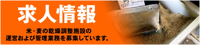 求人募集 米・麦の乾燥調整施設の運営および管理業務を募集しています。