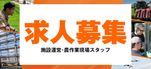 求人募集